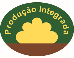 Prodi