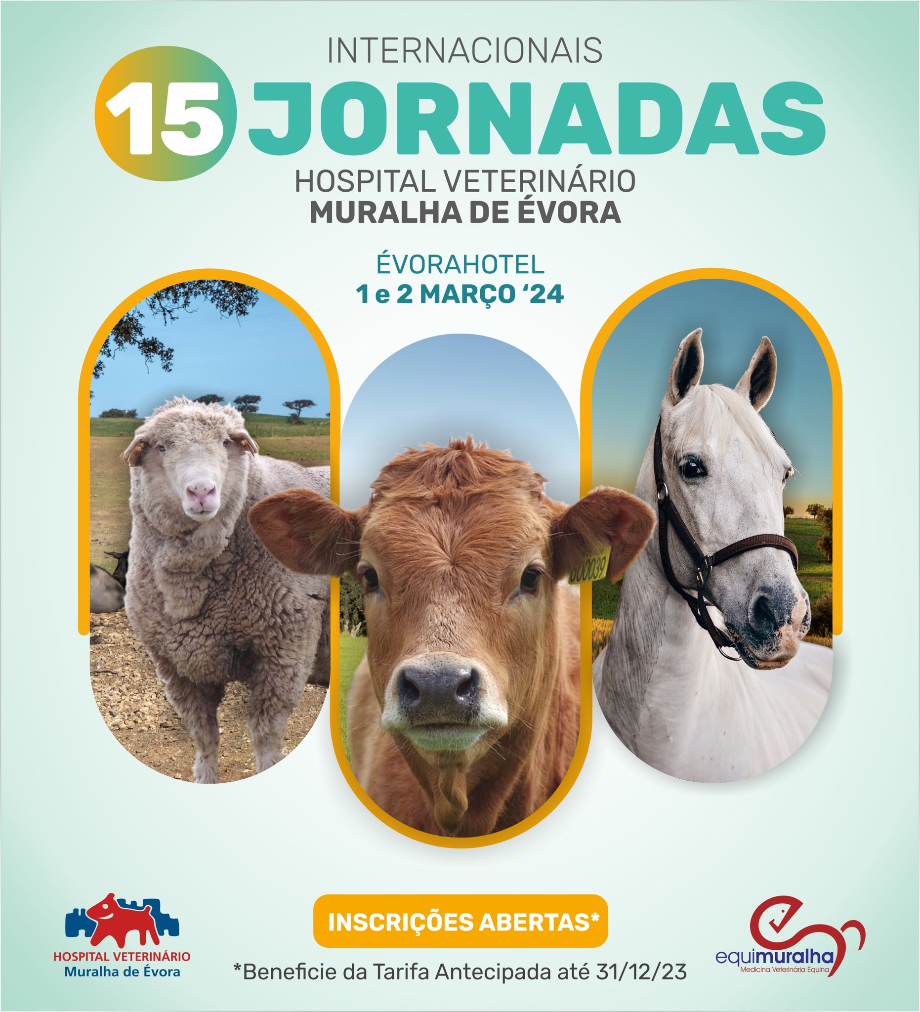 noticia