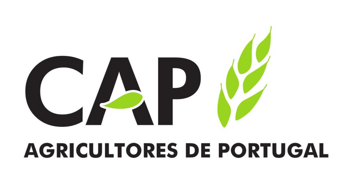 noticia