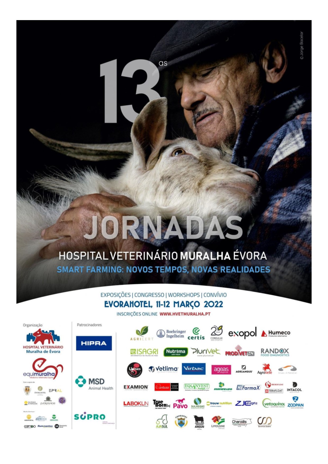 noticia